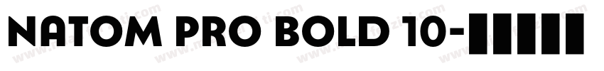 Natom Pro Bold 10字体转换